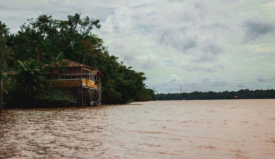 A pororoca da bioeconomia: por que a Amazônia precisa ser ouvida além das conferências climáticas