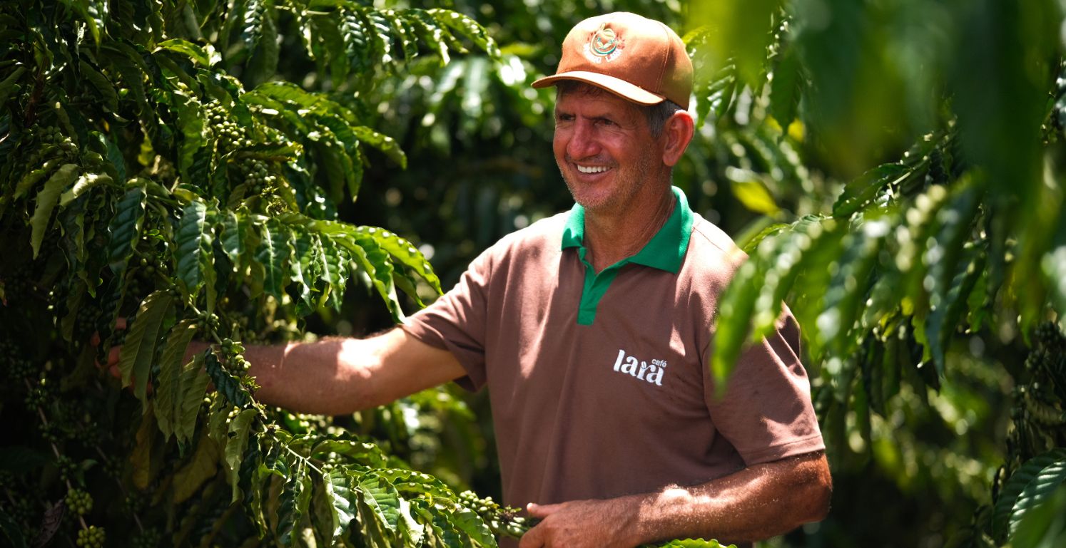 Produção de café clonado avança no Acre e se torna alternativa para uso de áreas desmatadas