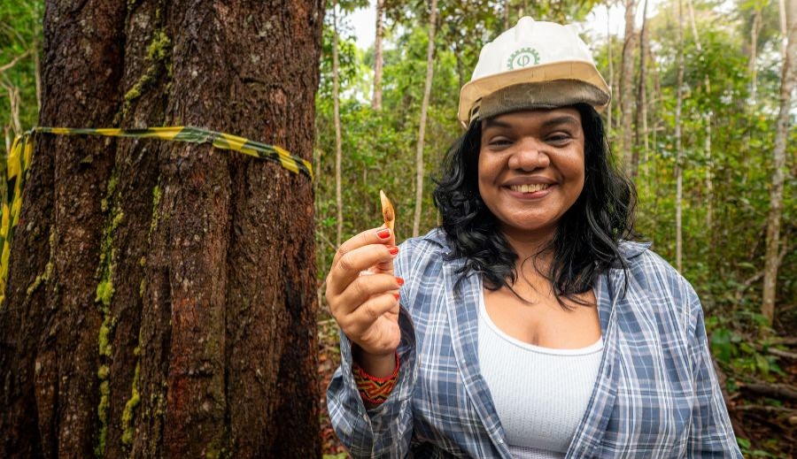 Jornalistas e estudantes podem se inscrever em formação gratuita sobre jornalismo ambiental na Amazônia