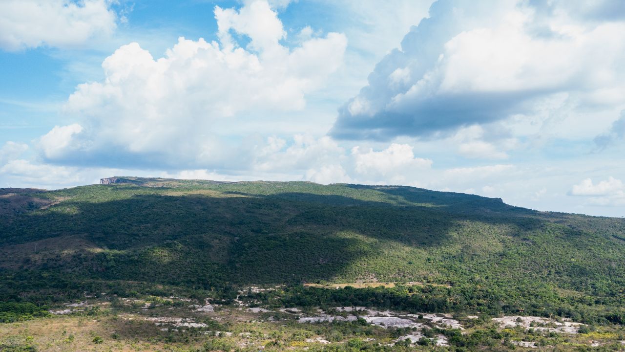 Paisagem do Lavrado em Roraima, com vegetação rasteira e árvores esparsas.