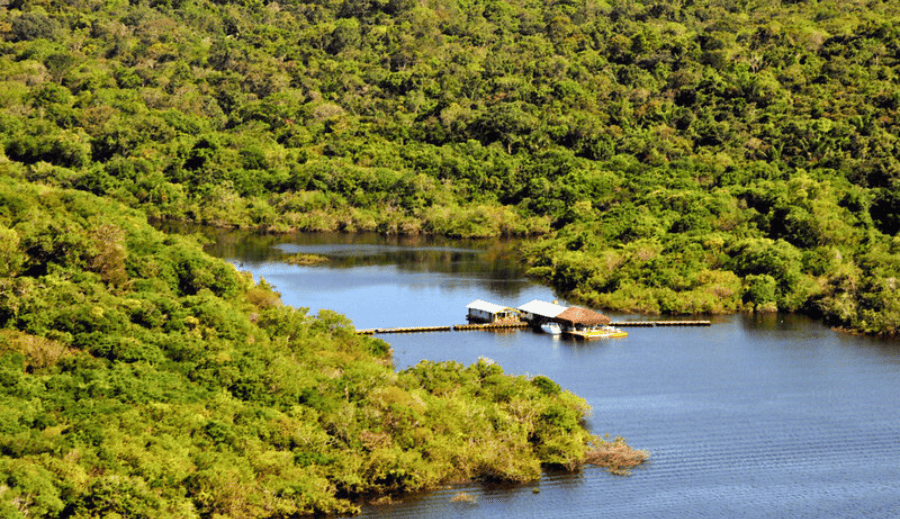 Biodiversidade e Mudanças Climáticas: O papel da Amazônia no futuro do planeta