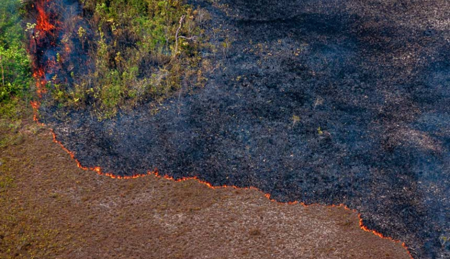 Mudanças climáticas e opinião pública: as contribuições da pesquisa de valores ambientais e atitudes sobre a Amazônia (PVAAA) 