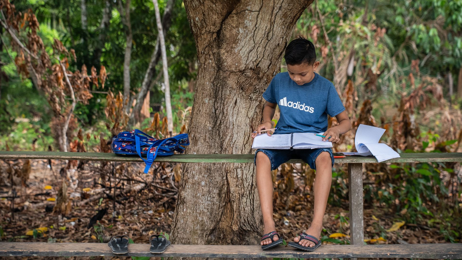 Episódio Em um território repleto de diversidade étnica e tradições, mas com baixa autodeclaração entre indígenas, professores e alunos de Manicoré unem forças para resgatar, valorizar e ensinar a rica herança
